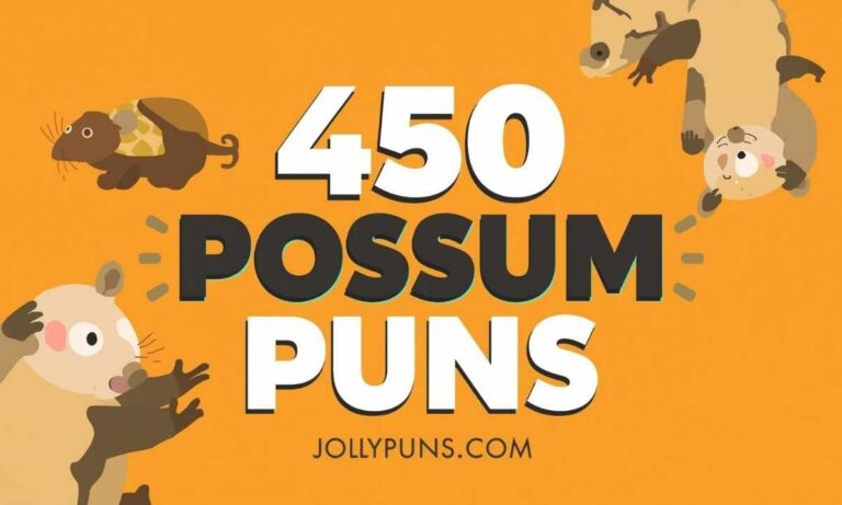 450 Hilarious Possum Puns So Unbelievably Funny You’ll Be Laughing at Midnight