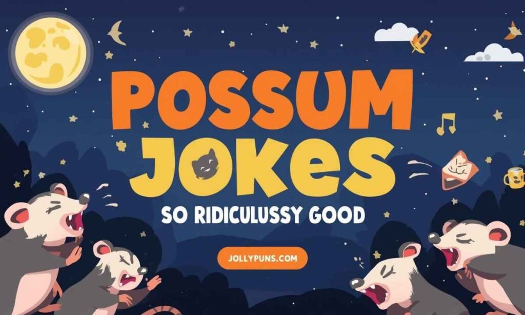 Possum Jokes So Ridiculously Good You'll Snort-Laugh at Night